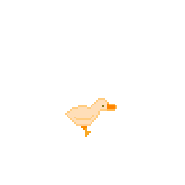 duck