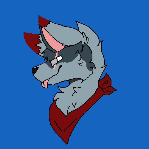 OC named Rider