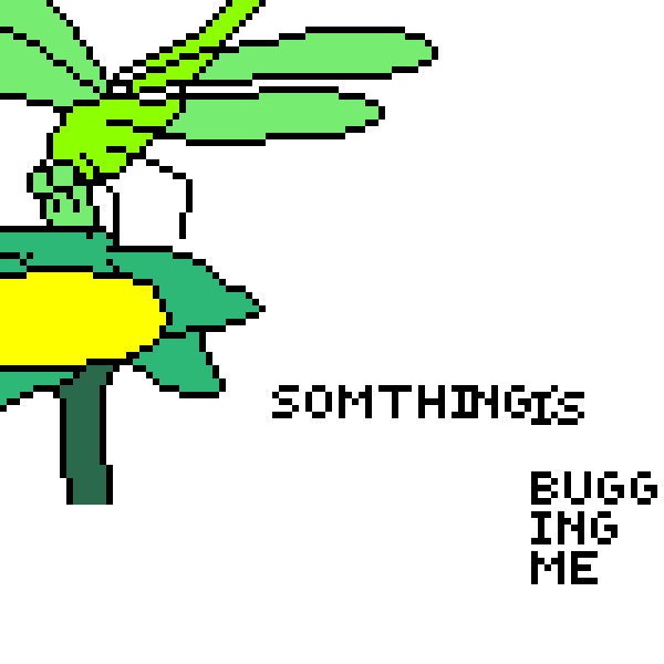 something is bugging me
