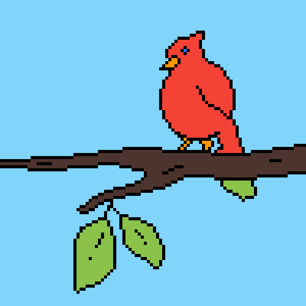 Red cardinal