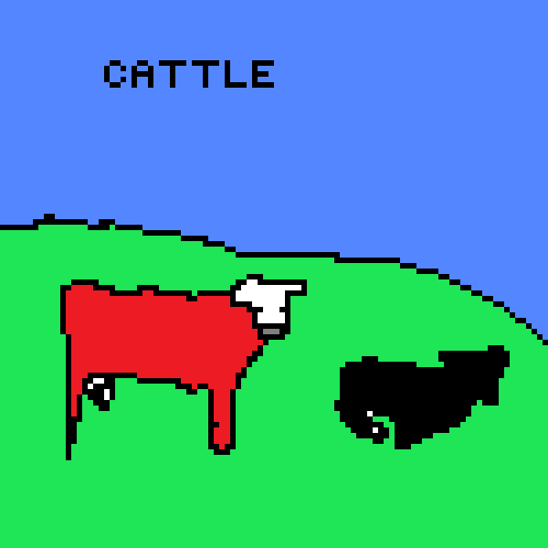 cattle