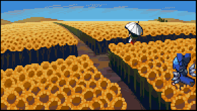 Sunflowers