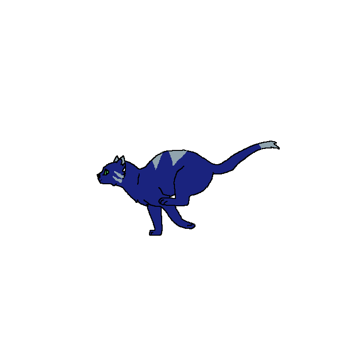 amimated running cat(warriors)