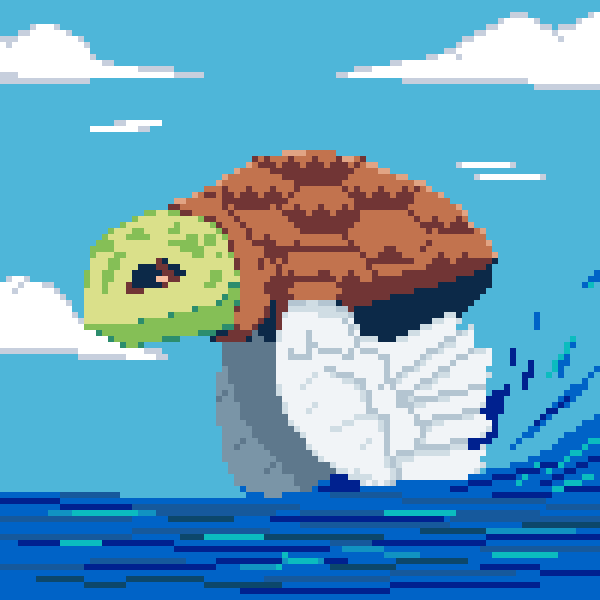 Flying Turtle