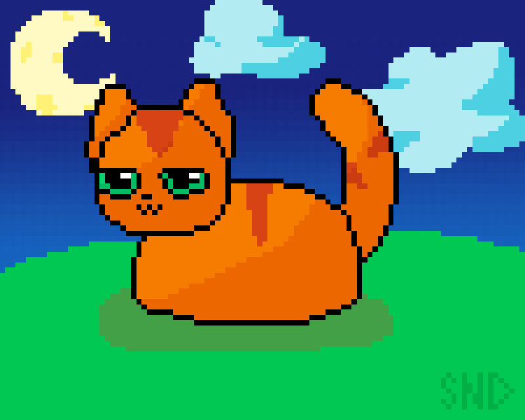 Cat under the moon