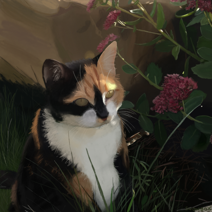 Pretty Calico