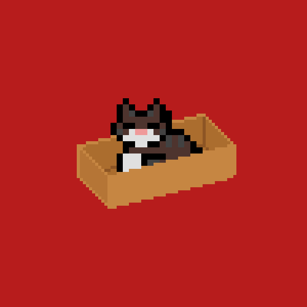cat cat