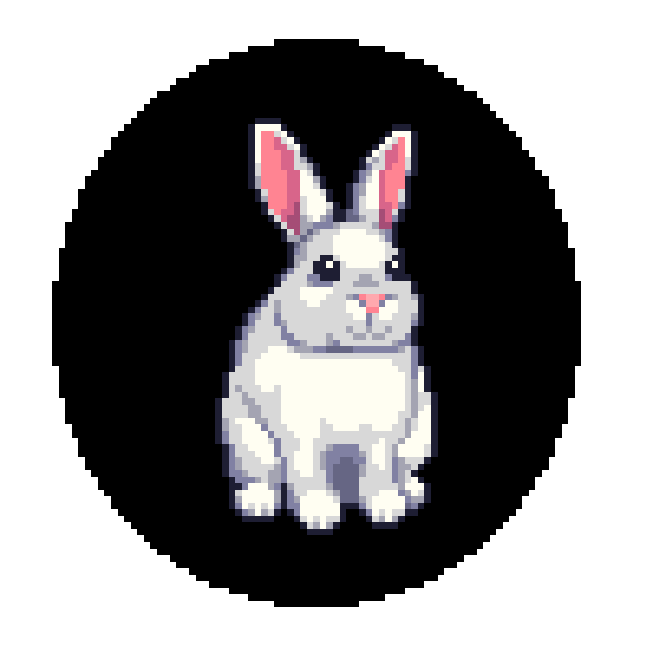 Rabbit in a dream