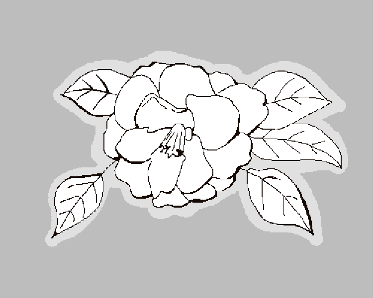 Flower Base