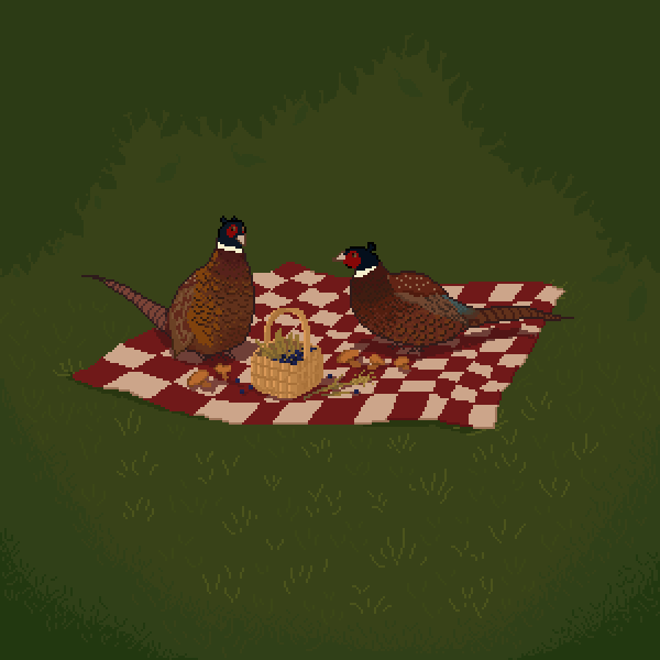 Pheasant picnic