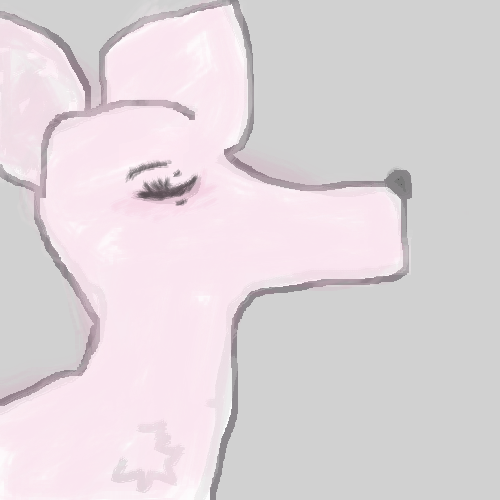 artic dear