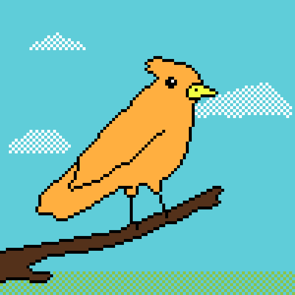 Bird