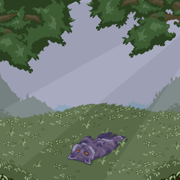 Resting cat
