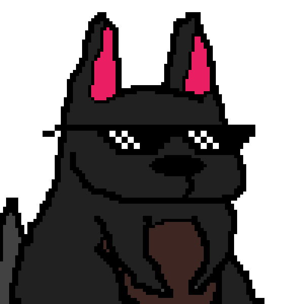 Perro