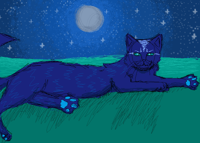 BLUE CATTT