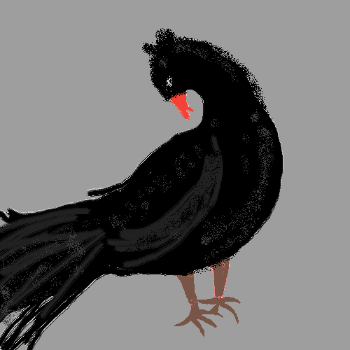 Bird