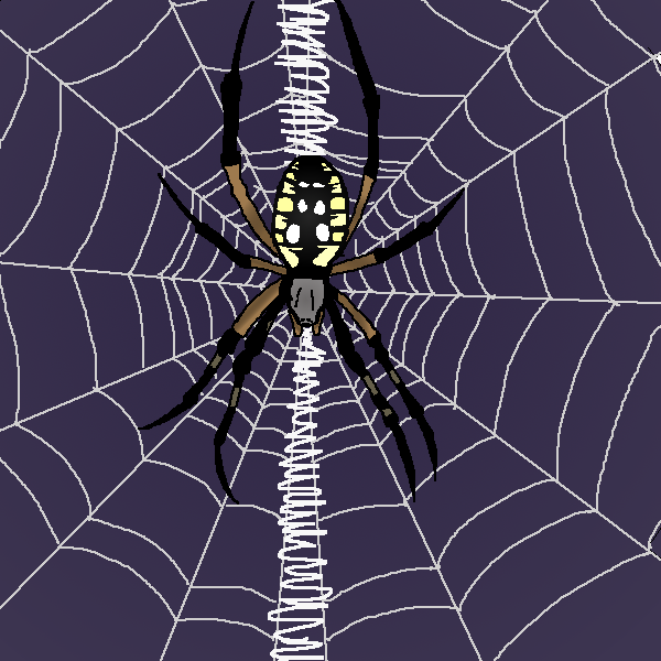 Spider Web