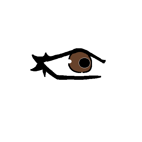 A Practice eye..... i guess...