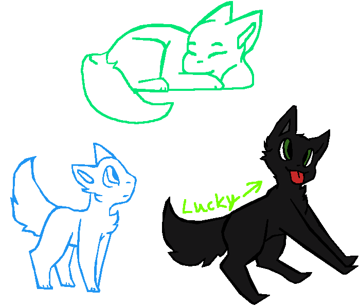 Cat OC Collab!!