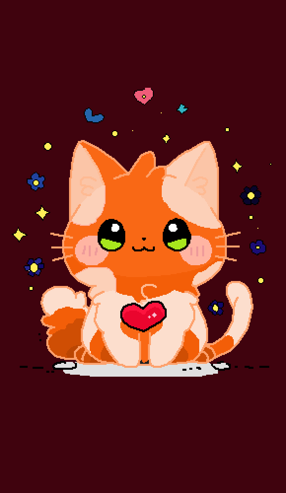 cute Cat