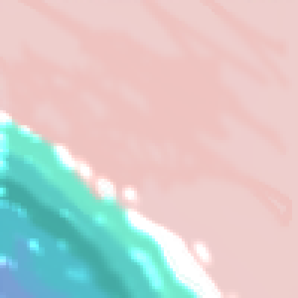 The beach