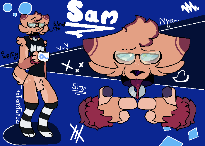 Sam redesign ref