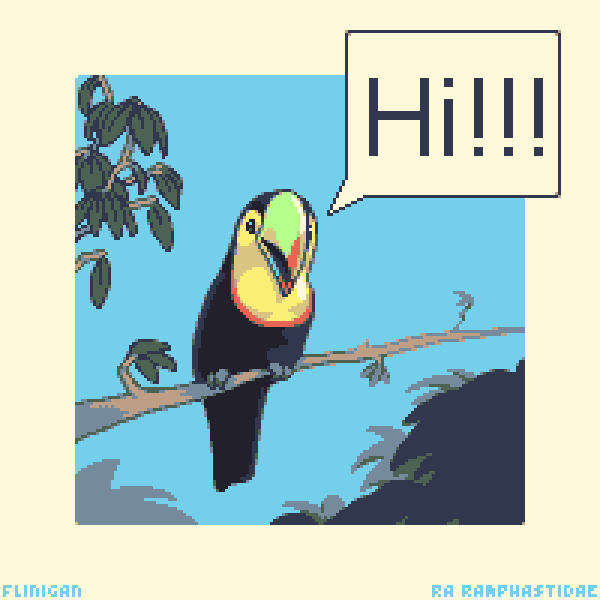 KB Toucan