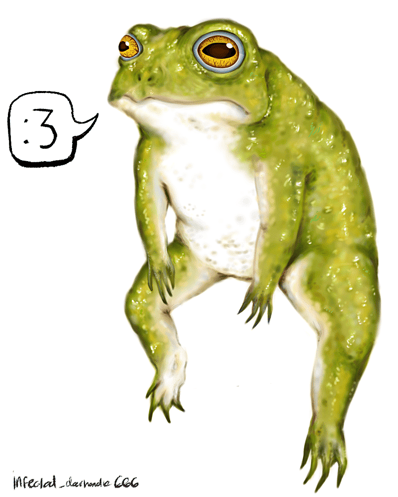 FROG toad idk