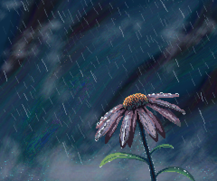 Flower in the Rain