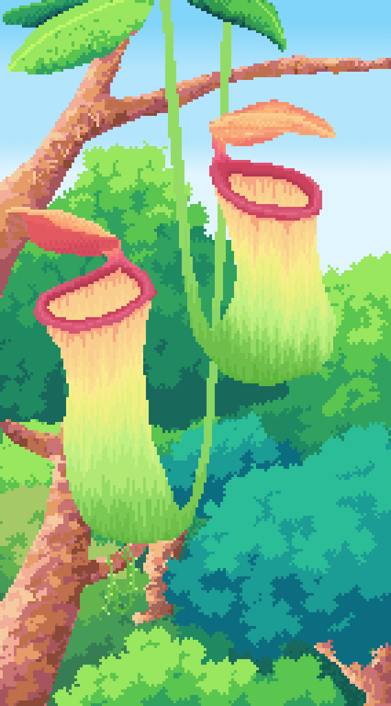Pitcher Plant