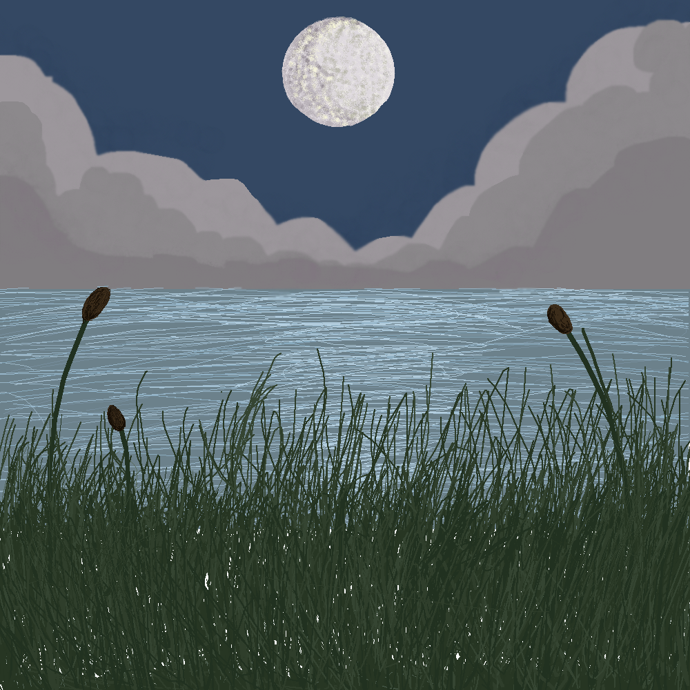 Lake view