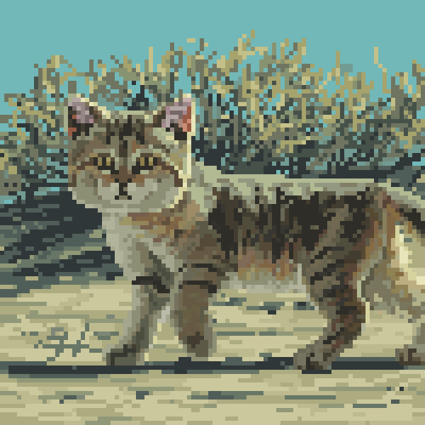 Sand Cat