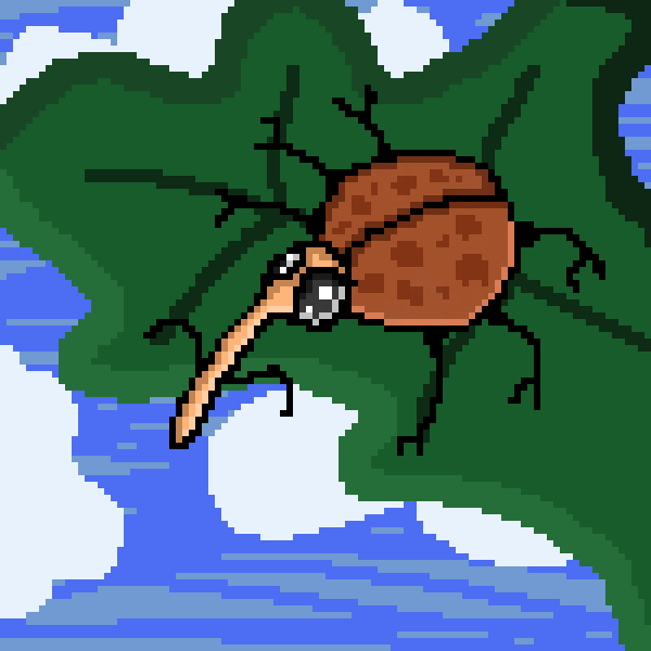 weevil on a leaf