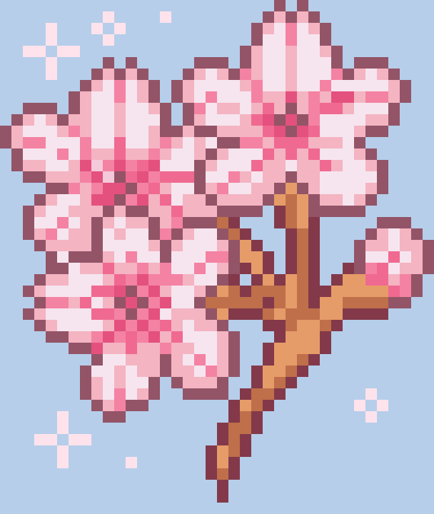 Cherry blossom