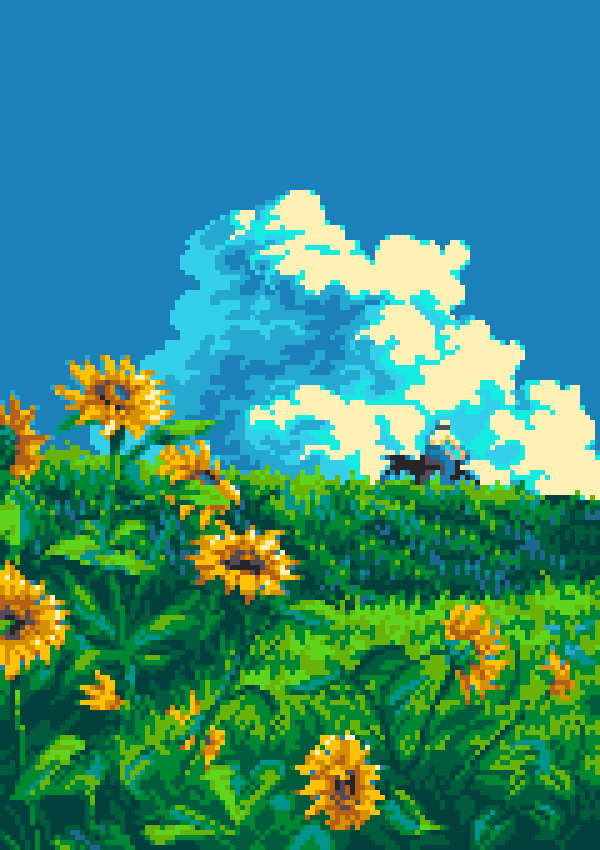 Sunflowers