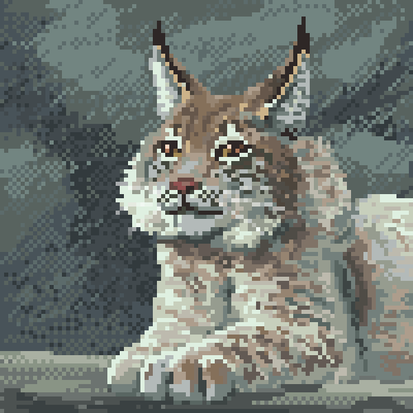 Canada Lynx