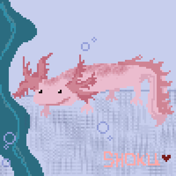 Axolotl!!!