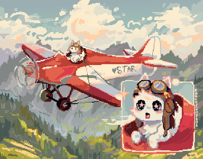 helicopter 🚁