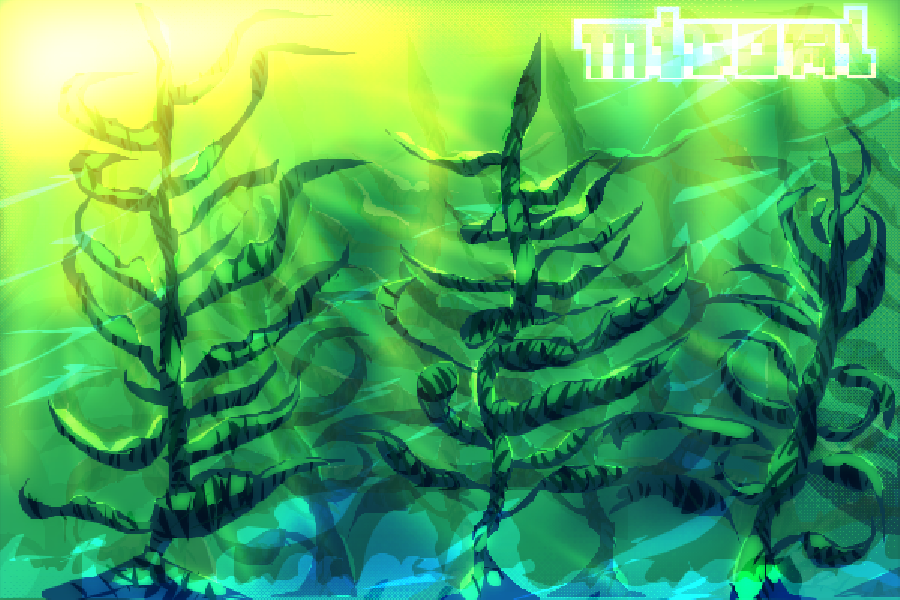 Seaweed forest!! 🌊🌿☀️