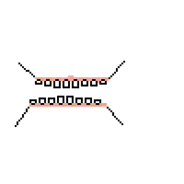 teeth