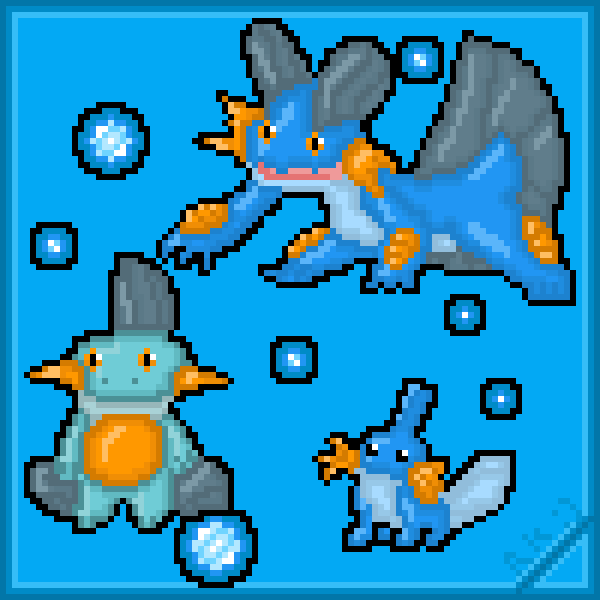 Mudkip and His Evolutions :3