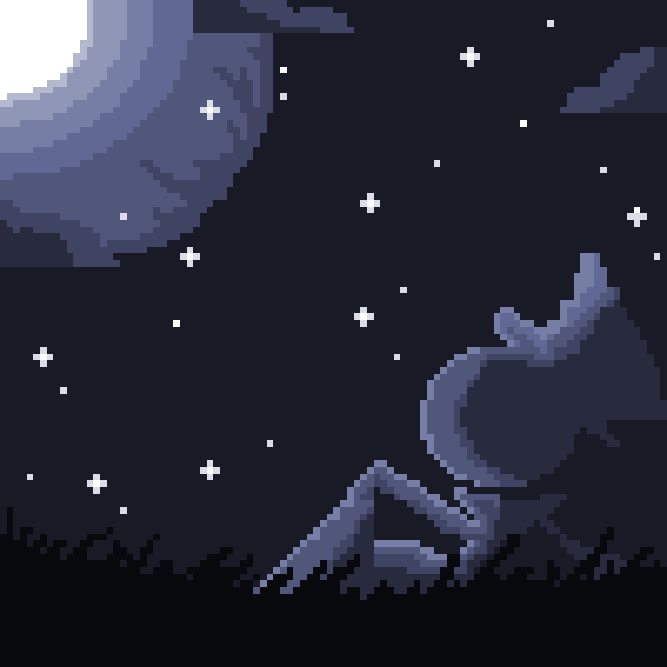 the night sky