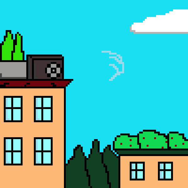 City