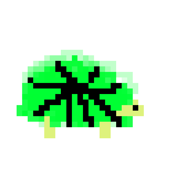 The Turtle