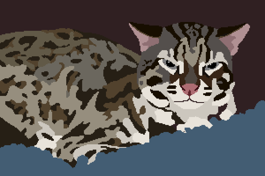 Asian leopard cat