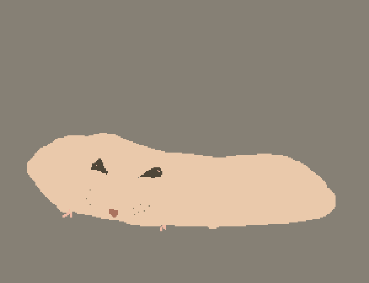 flat hamster