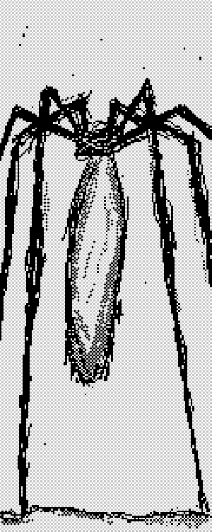 T̵͖͙͐h̴́e̴͛ ̴͇́Ț̸̡̏̄ọ̴̟̈́̃r̴̰͝mentor
