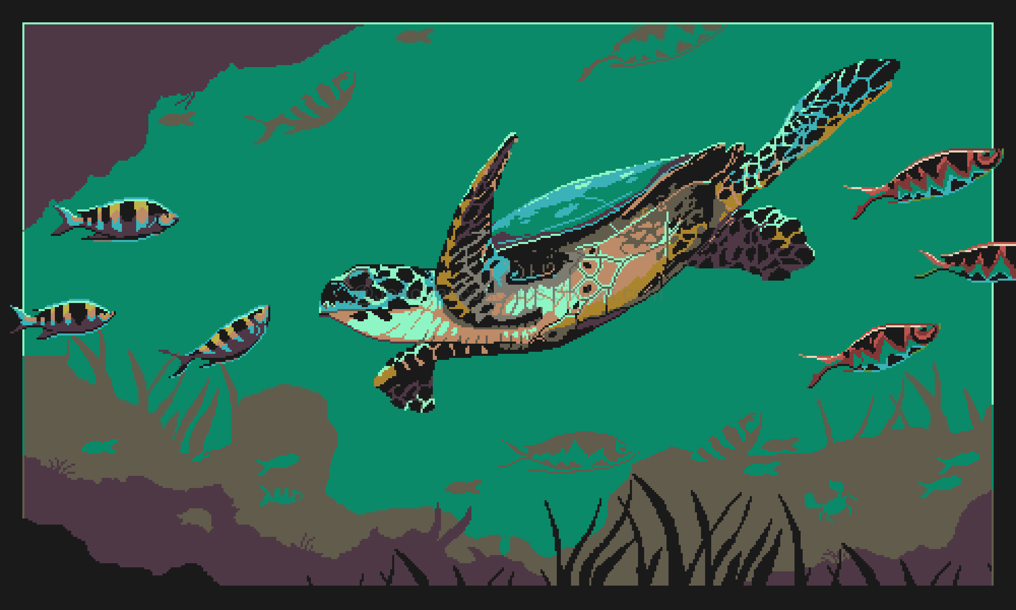 Sea Turtle