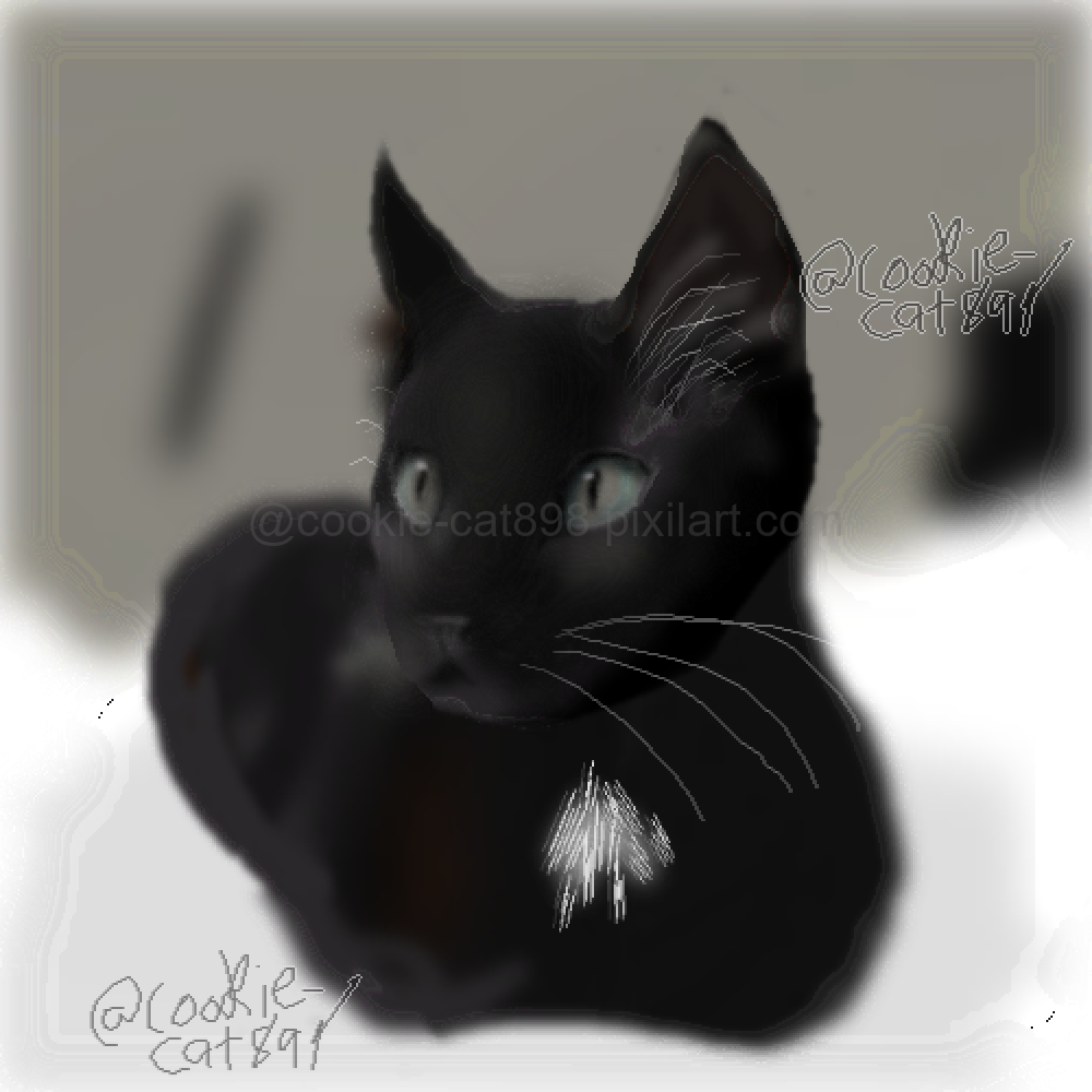 Black Cat