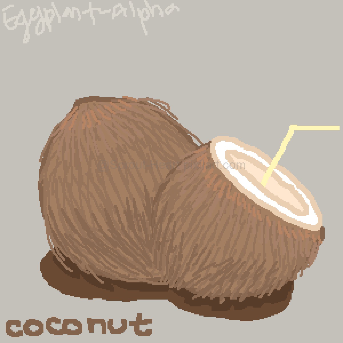 Pixilart 🥥 COCONUTS 🥥 by SproutHeart